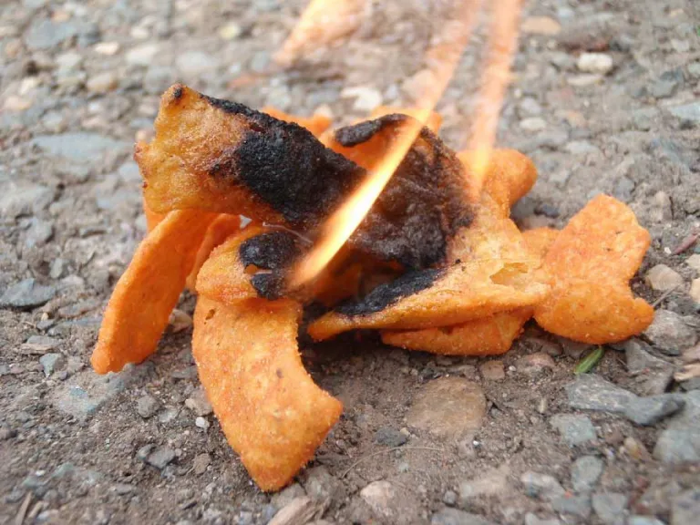 Featured image for “Survival Hacks: Stay Alive Without Breaking A Sweat”
